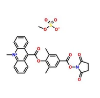 CAS:115853-74-2|6'-ثنائي ميثيل-4'-(N-succinimidyloxycarbonyl)فينيل-10-ميثيل-أكريدينيوم-9-كربوكسيلات ميثوسولفات (DMAE-NHS)